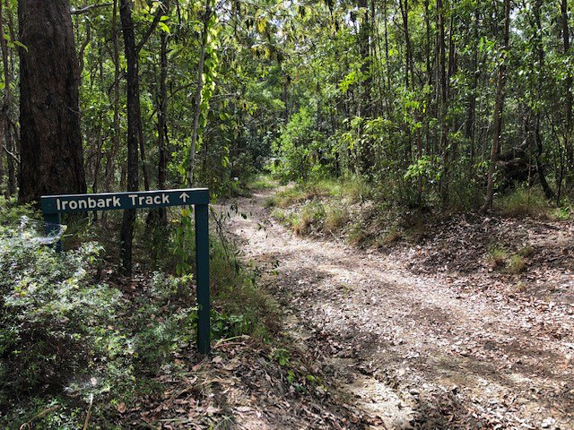 Ironbark mountain bike discount trail